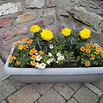 Ashleigh House 2* Monaghan