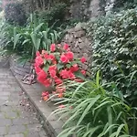 Pensjonat Ashleigh House