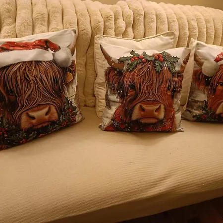 招待所 Ashleigh House