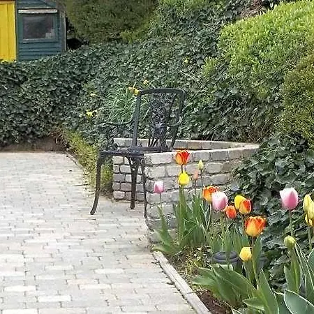 Ashleigh House 2* Монахан