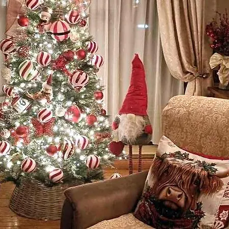 Ashleigh House Монахан