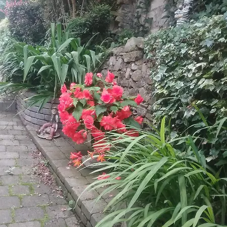 بيت ضيافة Ashleigh House