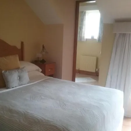 Gasthuis Ashleigh House Monaghan