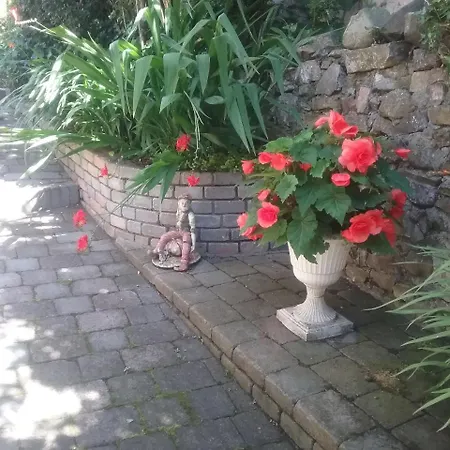 Ashleigh House 2* موناغان
