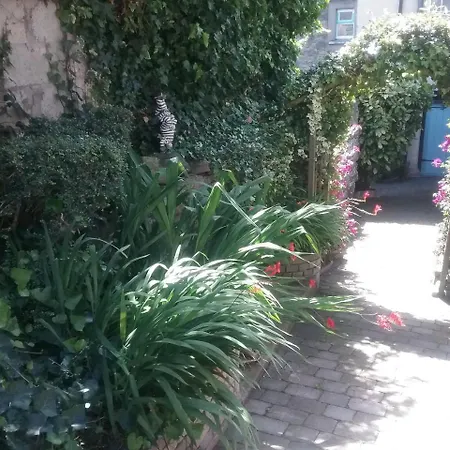 Guest house Ashleigh House Monaghan