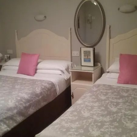 ゲストハウス Ashleigh House モナハン