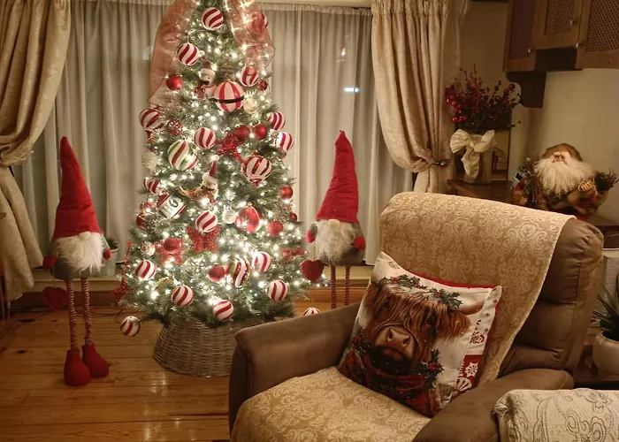 بيت ضيافة Ashleigh House موناغان
