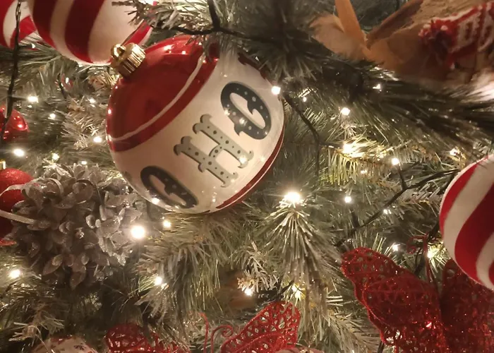 Ashleigh House 招待所 莫纳汉