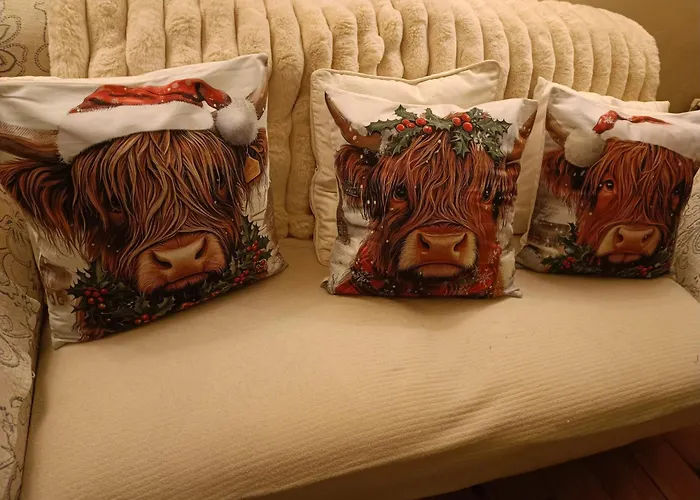 招待所 Ashleigh House