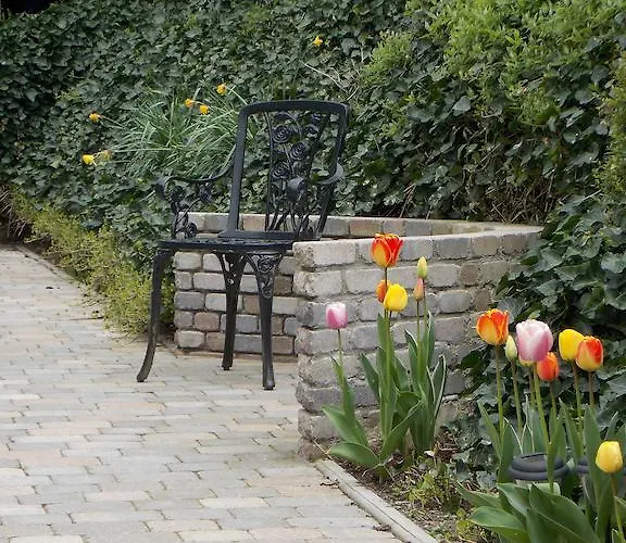 招待所 Ashleigh House