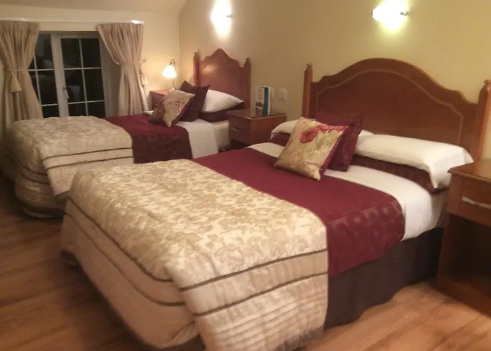 招待所 Ashleigh House 2*