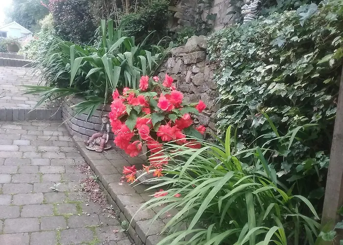 招待所 Ashleigh House